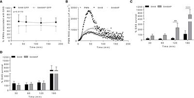 Streptococcus pyogenes M1T1 Variants Induce an Inflammatory Neutrophil Phenotype Including Activation of Inflammatory Caspases